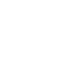 Cisco Partner